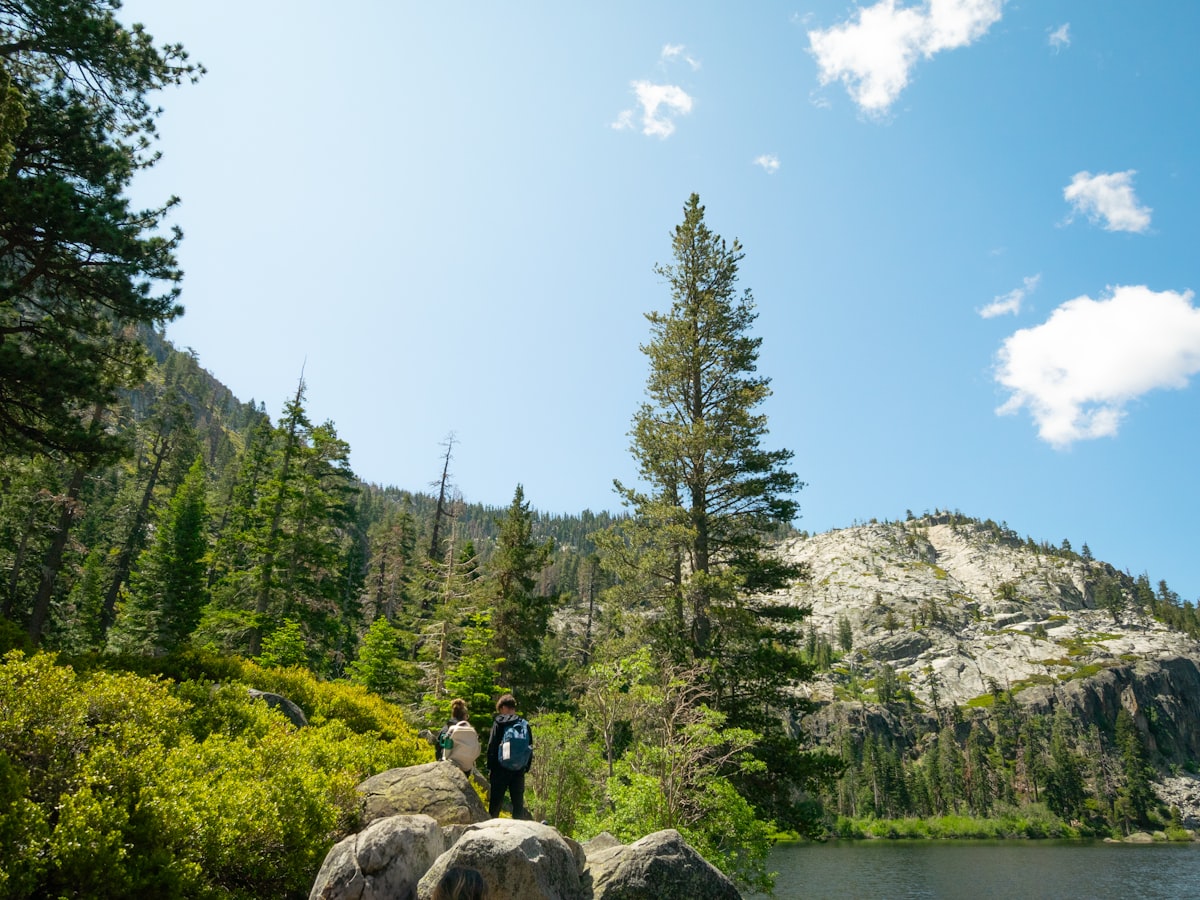 People hike near a serene lake with lush trees.