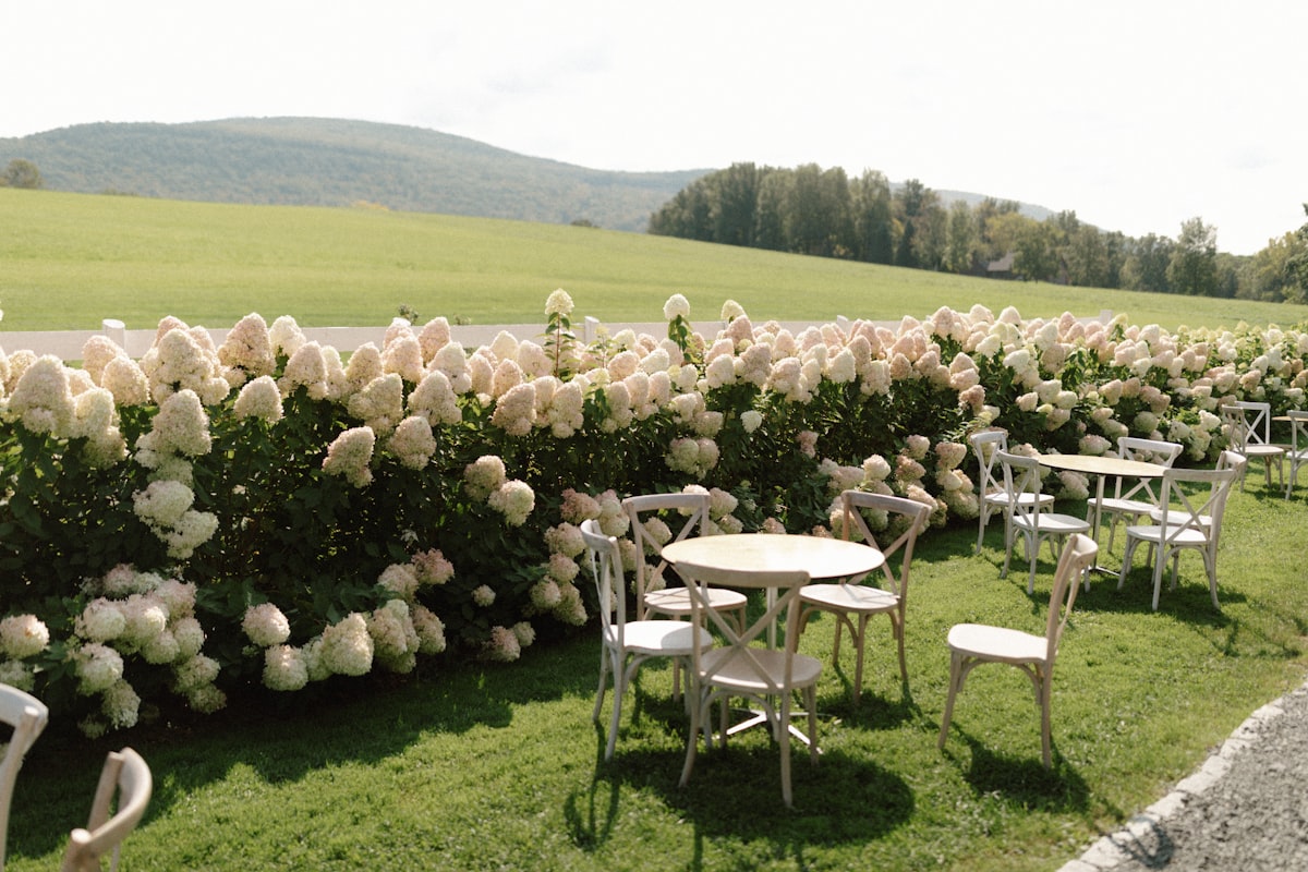 Mountain wedding ceremony setup at Montana venue with vendor coordination