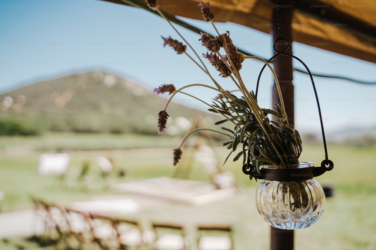 Wedding tent setup at Montana mountain venue with backup weather protection