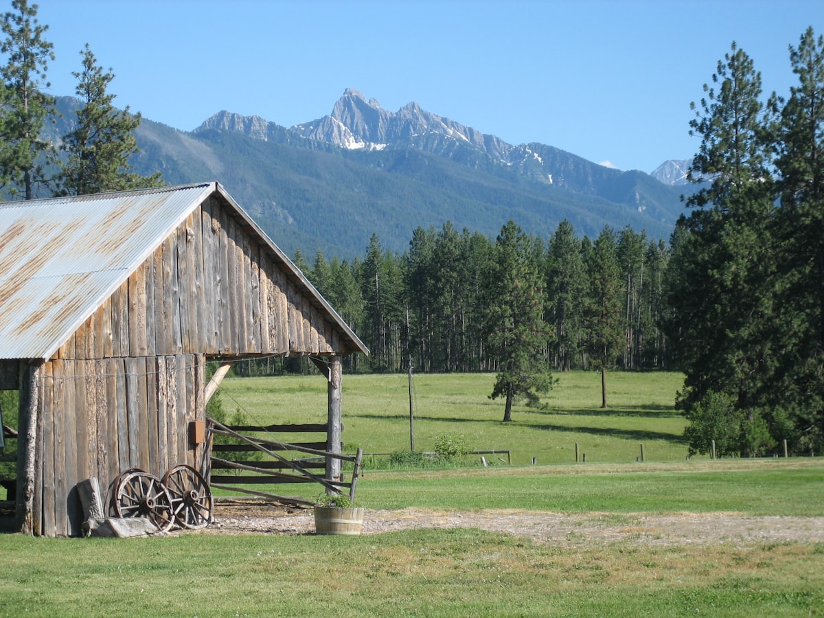 Outdoor wedding ceremony at Montana ranch venue with mountain views