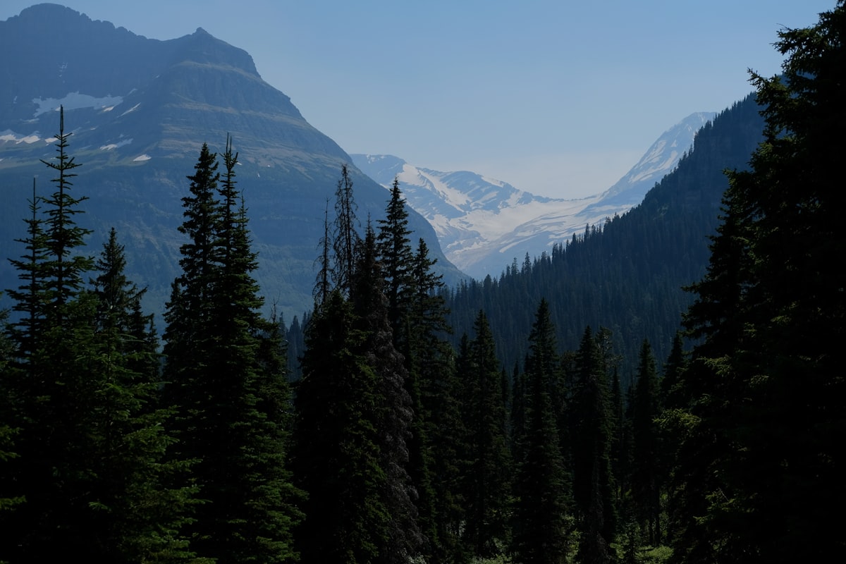 Montana wedding venue guest accommodations with mountain views