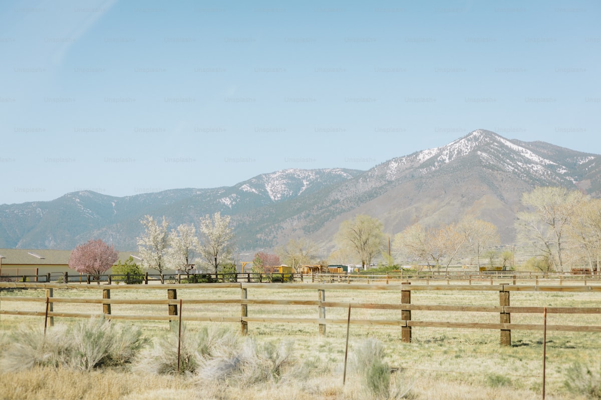 Fence, field, and mountain under a blue sky.